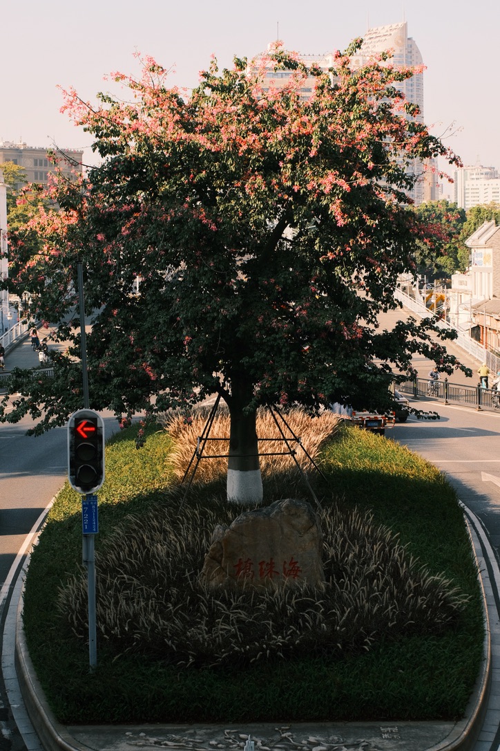 Fotografía 20