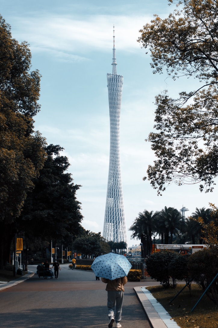 Fotografía 24
