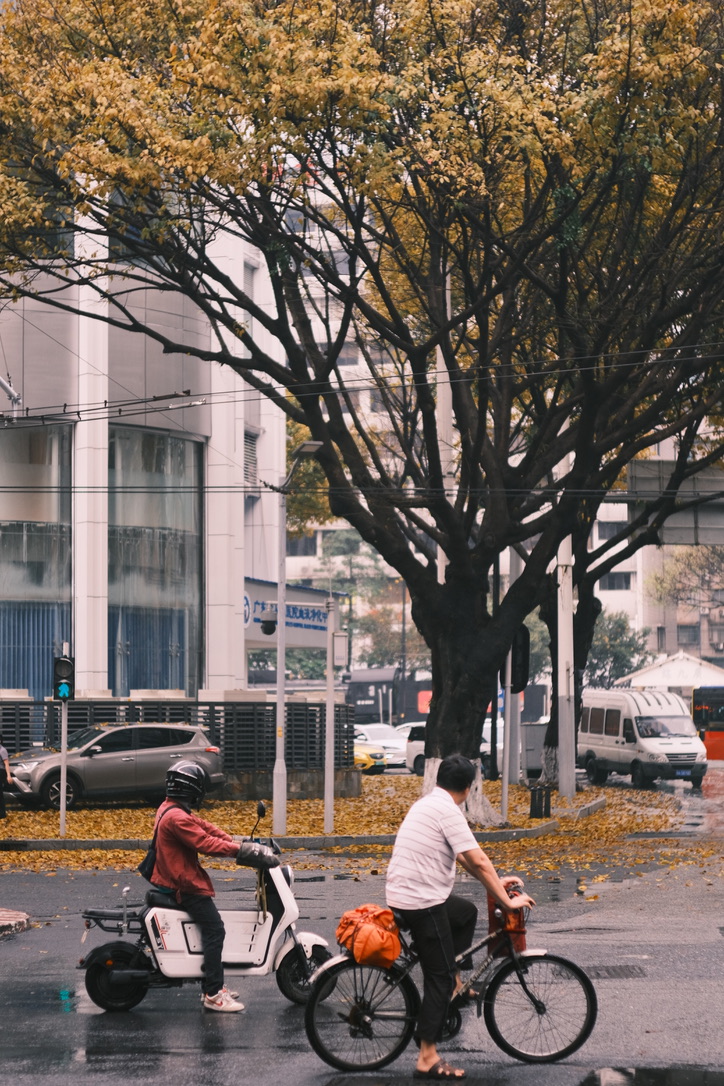 Fotografía 32