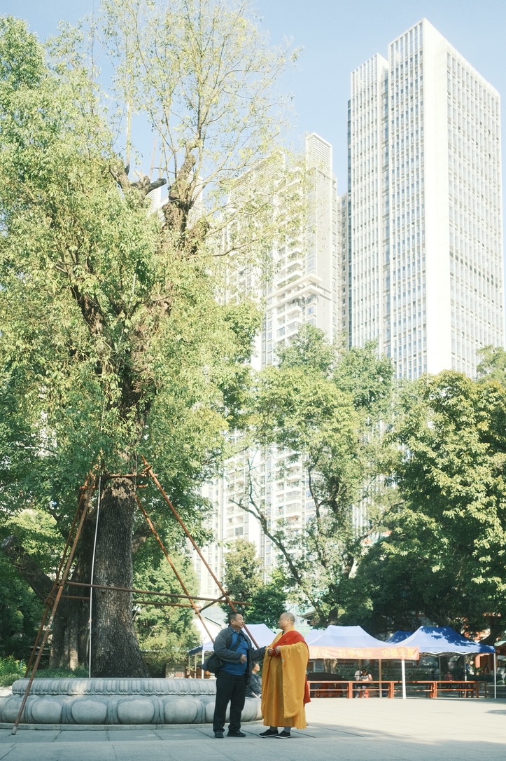 Fotografía 37